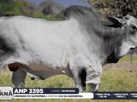 Lote 108