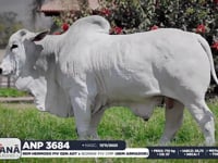 Lote 122