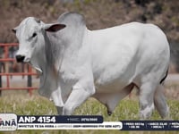 Lote 125