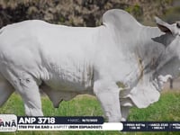 Lote 128