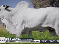 Lote 143