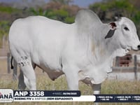 Lote 147