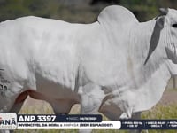 Lote 148
