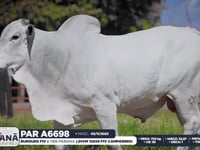 Lote 149