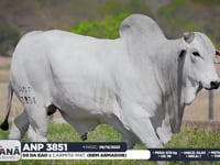 Lote 152
