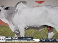 Lote 159