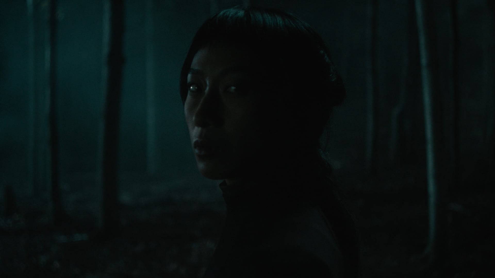 CENDRES - La légende du héron et des 62 lacs