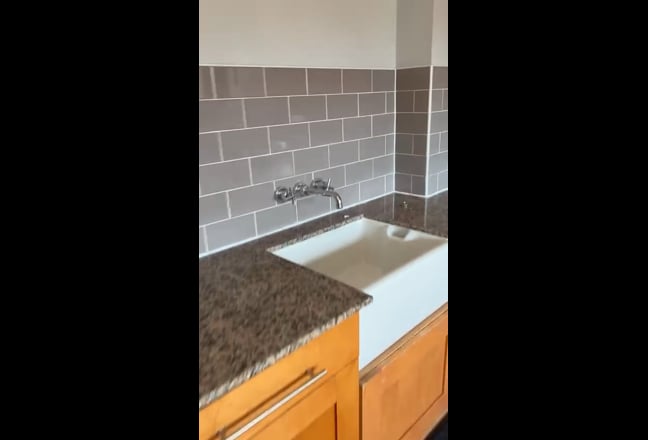 Video 1: