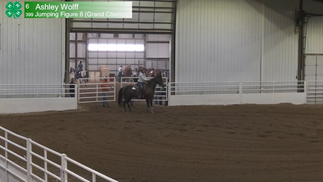 #399 Ashley Wolff [Jumping Figure 8 (Grand Champ)]