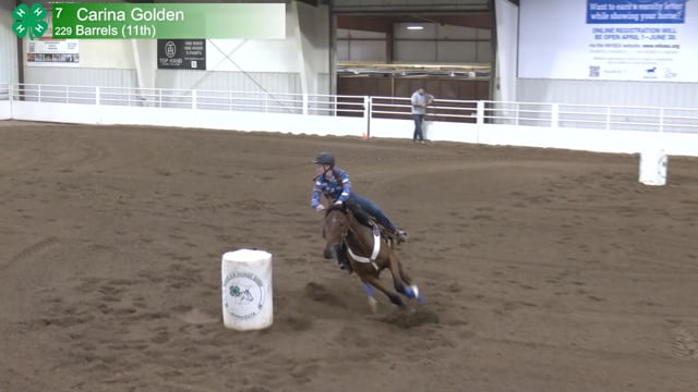 #229 Carina Golden [Barrels (11th)]