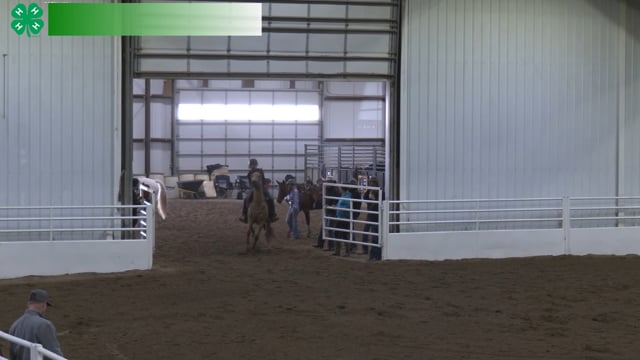 #342 Maverick Belanger [Barrels (Grand Champ)]