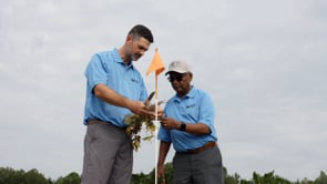 Related Embedded Video Item Thumbnail