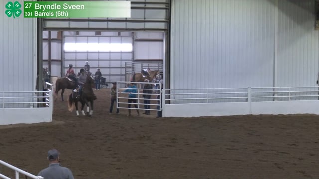 #391 Bryndle Sveen [Barrels (6th)]