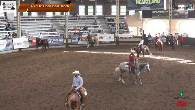 #4 Yr Old Open Ideal Ranch