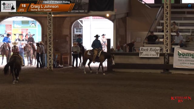 #272 Craig L Johnson