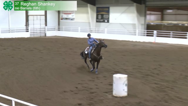 #590 Reghan Shankey [Barrels (6th)]