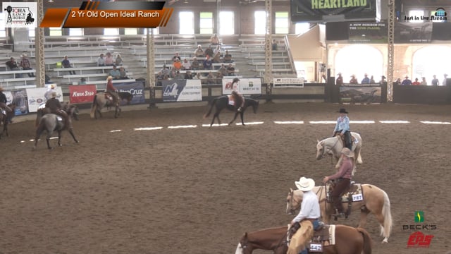 #2 Yr Old Open Ideal Ranch (2)