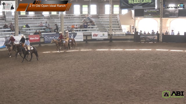 #2 Yr Old Open Ideal Ranch (3)