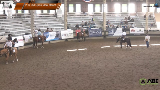 #2 Yr Old Open Ideal Ranch