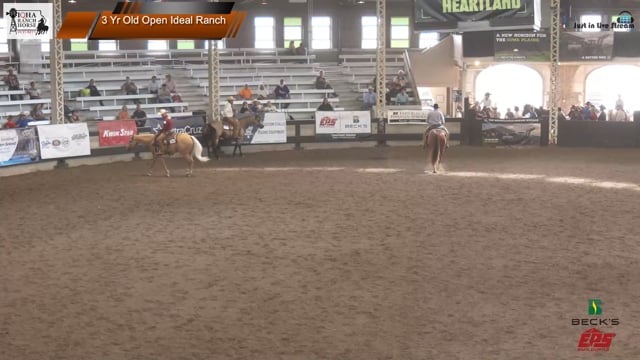 #3 Yr Old Open Ideal Ranch (2)