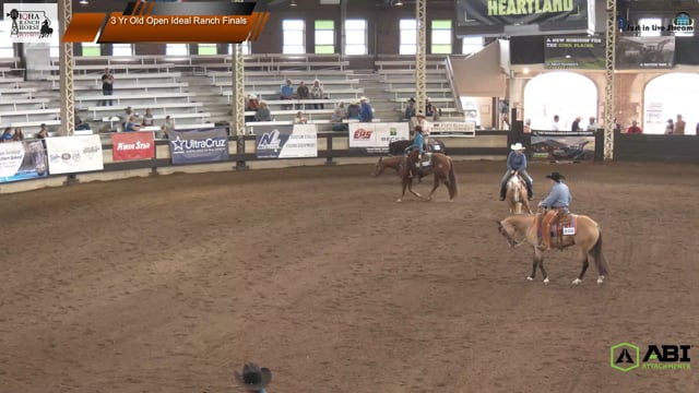 #3 Yr Old Open Ideal Ranch Finals