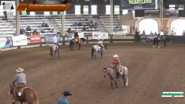 #2 Yr Old Open Ideal Ranch Finals