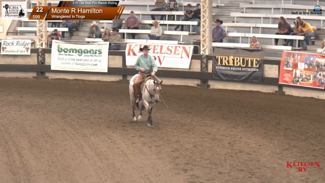 #599 Monte R Hamilton