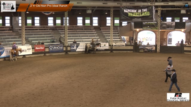 #2 Yr Old Non Pro Ideal Ranch