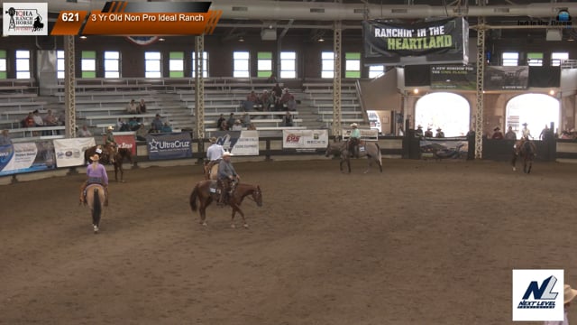 #3 Yr Old Non Pro Ideal Ranch (2)