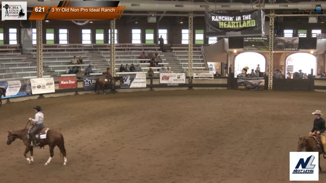 #3 Yr Old Non Pro Ideal Ranch