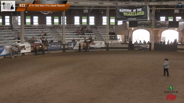 #4 Yr Old Non Pro Ideal Ranch