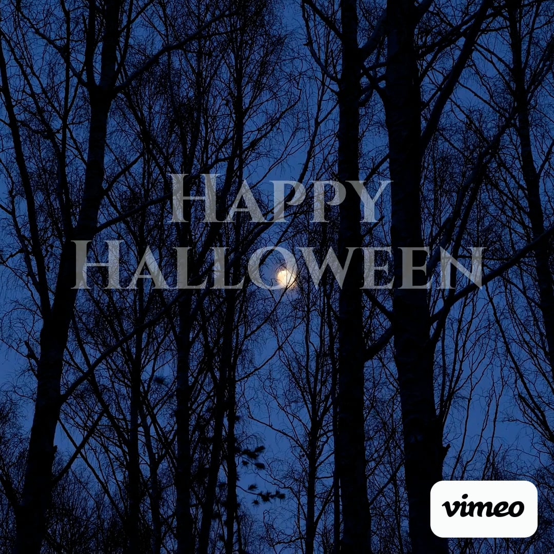 https://i.vimeocdn.com/video/2061941630-c934eaf1c8edfbe94b708d4af779620be2b5d349eeaef4baf514fb418e3a6668-d