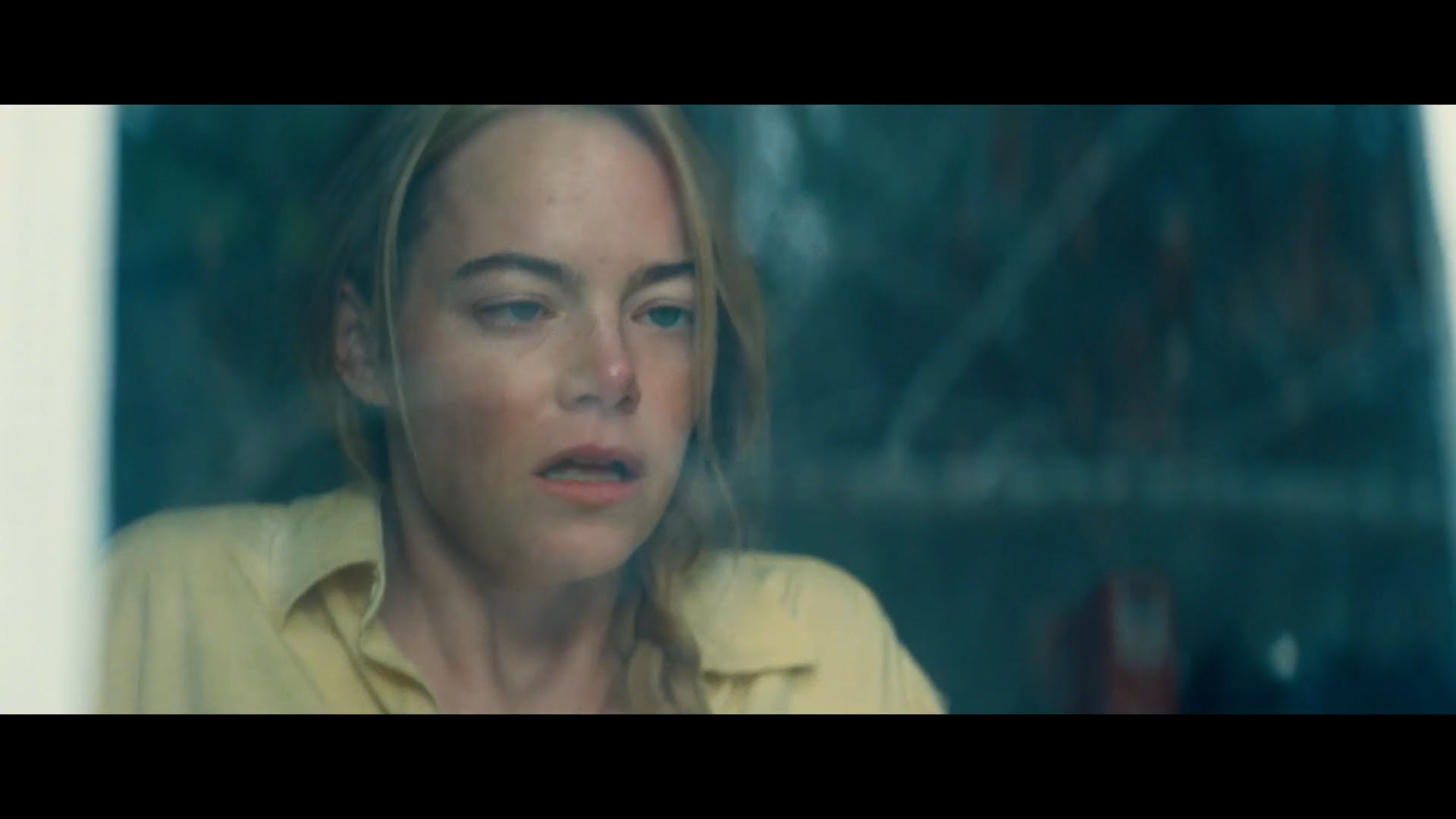 KINDS OF KINDNESS DIG30 R.M.F. IS FLYING