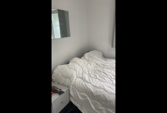 Lovely Double Room Bethnal Green Main Photo
