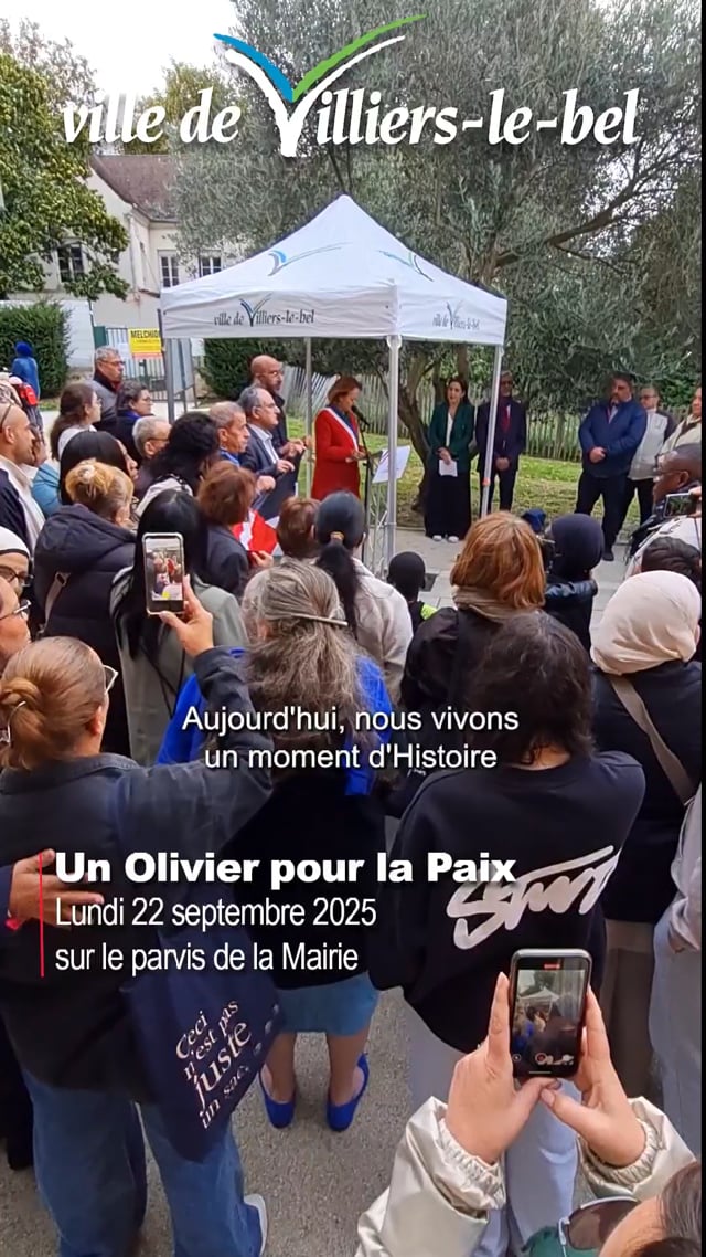 Vimeo Video : Un Olivier pour la Paix