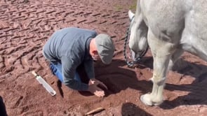 Related Embedded Video Item Thumbnail