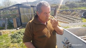 Video 1: Cesare Macchione plays a trummetta ‘e canna [0:06]