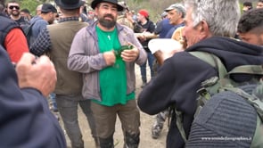Video 2: An ensemble featuring bottle and spoons at the Festa della Pita [0:20]