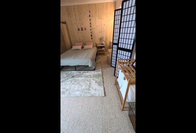 Video 1:
