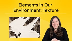 Elements in Our Environment: Texture