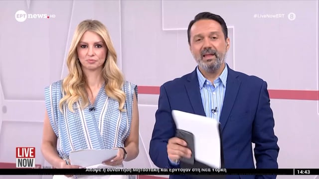 Το ΣτΕ επικύρωσε πρόστιμο 270.000 στον 66χρονο που σκότωσε 8 κουτάβια με τσάπα στην Αγία Μαρίνα Λάρισας το 2013 ΕΡΤ 23-9-2025