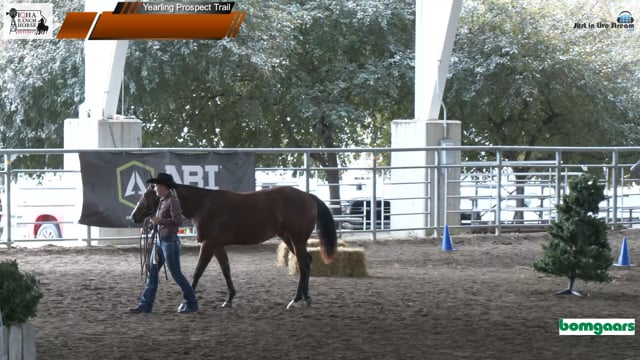 #236 Cody L Kilmurry