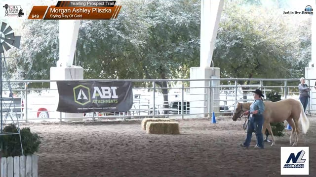 #949 Morgan Ashley Pliszka