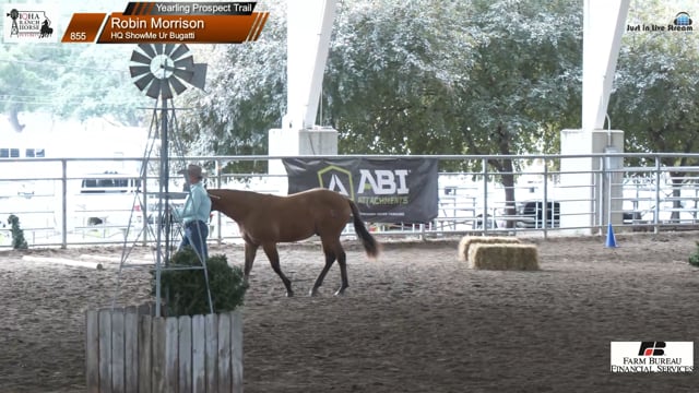 #855 Robin Morrison