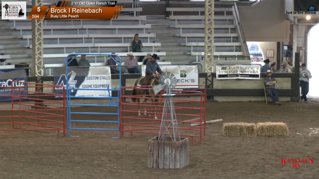 #594 Brock I Reinebach