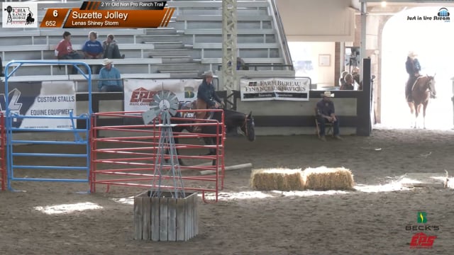 #652 Suzette Jolley