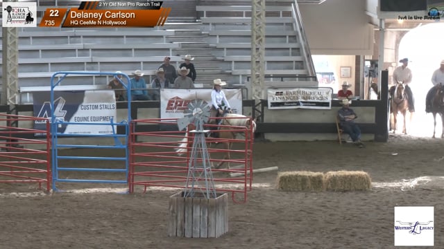 #735 Delaney Carlson