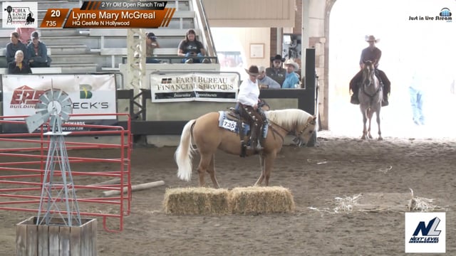 #735 Lynne Mary McGreal