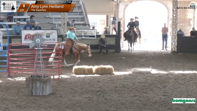 #237 Amy Lynn Heitland