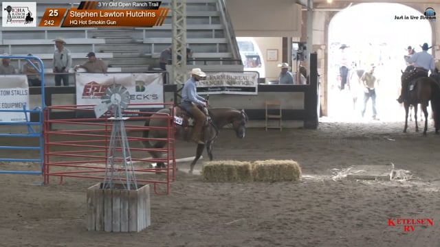 #242 Stephen Lawton Hutchins
